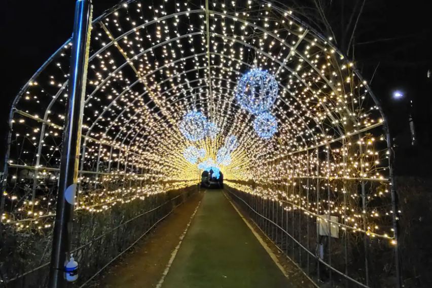 벚꽃양재카페공원 바로앞 0번째 이미지