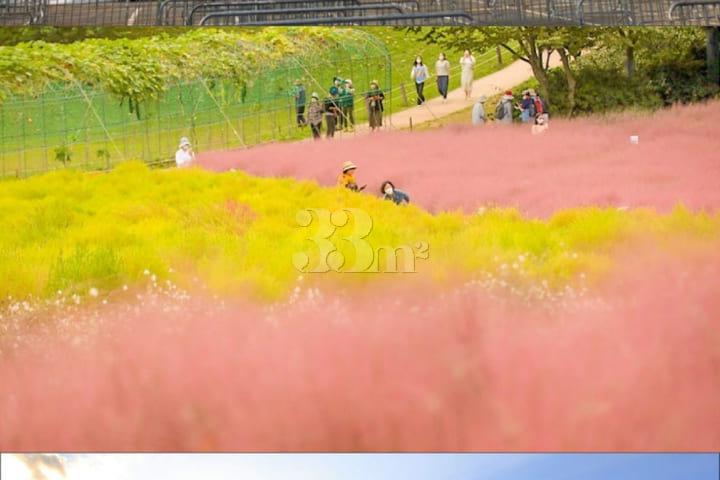 🌵강동성내 2룸 13번째 이미지