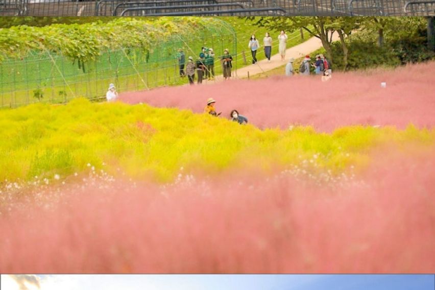  🌵강동성내 2룸 13번째 이미지