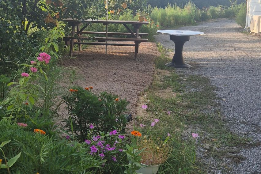 40평독채애견동반촌캉스