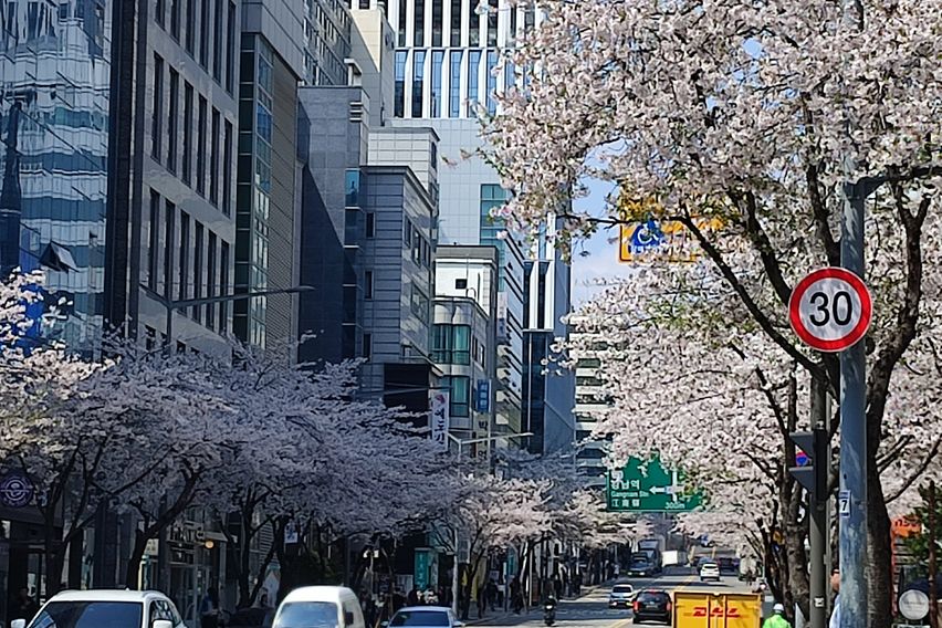 강남역삼역외창미니룸18