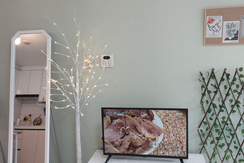 둔산동출장🤩아늑/깔끔