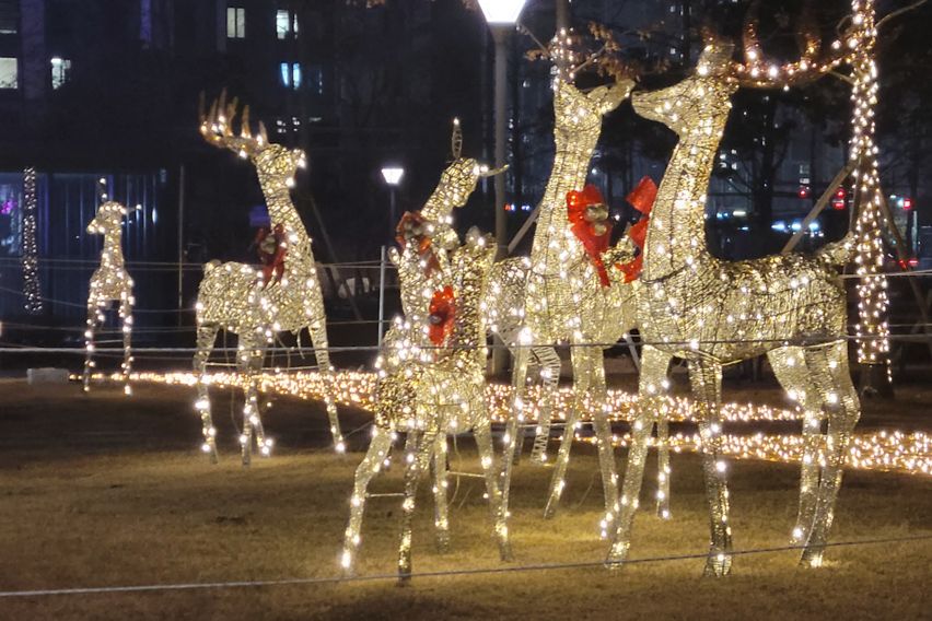 백만불짜리 송도야경맛뷰 7번째 이미지