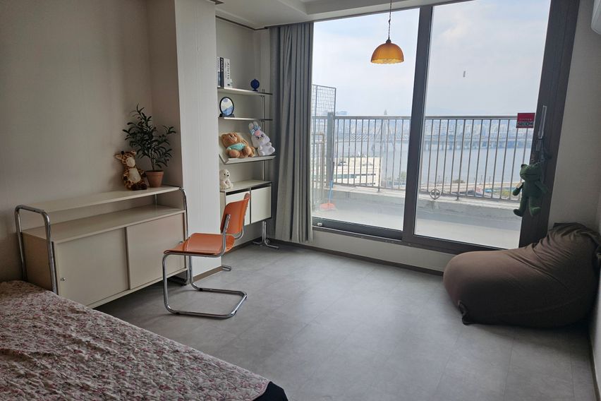 한강뷰 with 고양이