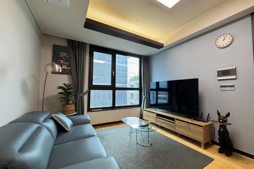 강남구청역 풀옵션 2룸