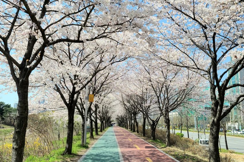 마이픽2 16번째 이미지