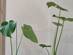 Jongno Stroll Stay 13th image