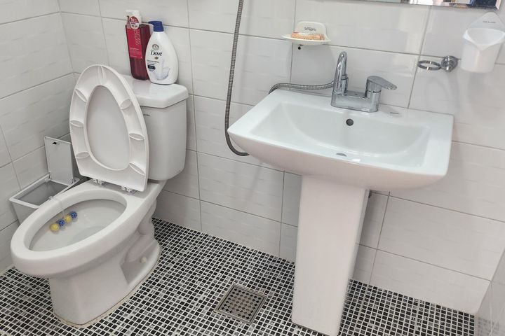봄맞이 3 7번째 이미지