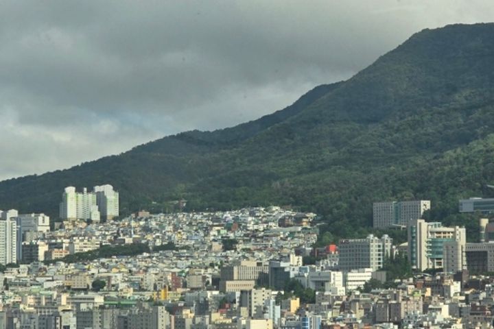 부산 3룸 2화 3번째 이미지