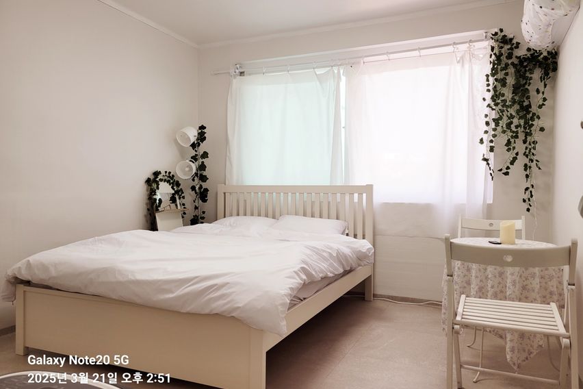 강화읍 햇살 가득 집