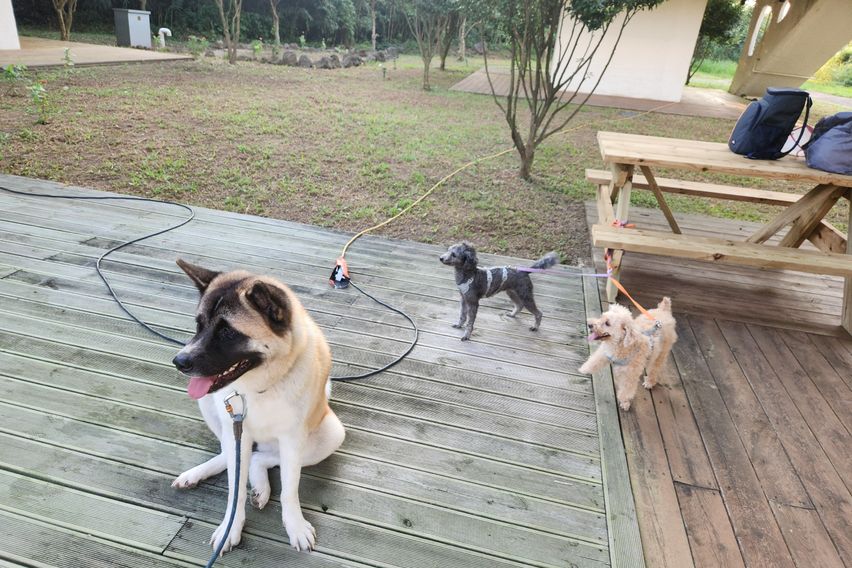 푸른숲 12동 13번째 이미지