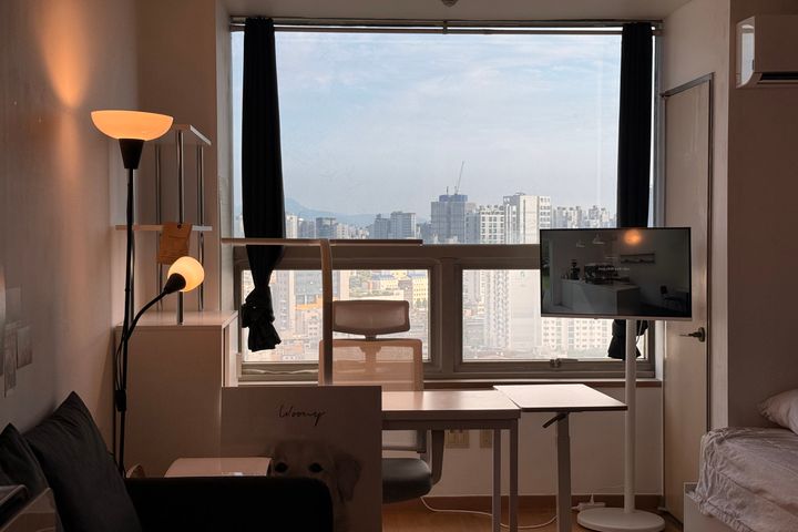 🍘 닛폰 모던하우스 14번째 이미지