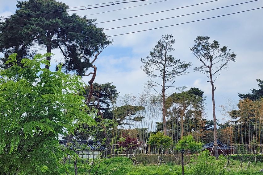 주차편의시설좋음4e