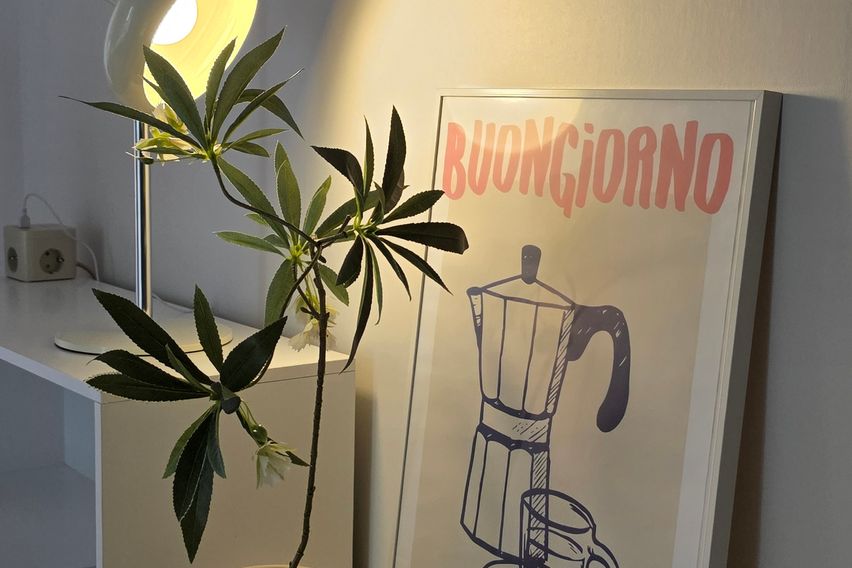 홍대역연남 후기인증원룸