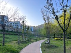 조용한 산책, 힐링의 11번째 이미지