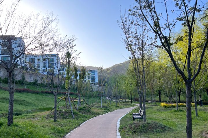 조용한 산책, 힐링의 11번째 이미지