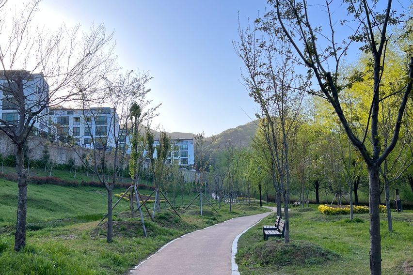 조용한 산책, 힐링의