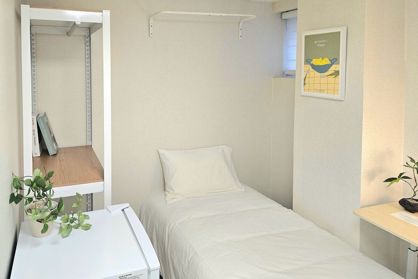 로와스테이디럭스A2타입 1번째 이미지