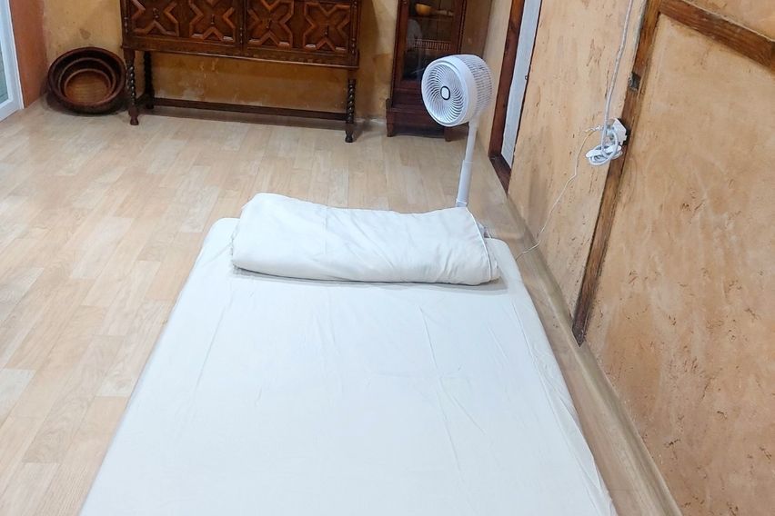 포항 홍시네 앞마당