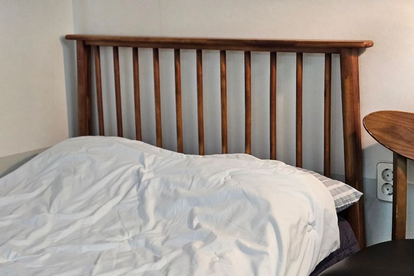 메이준_1월특가