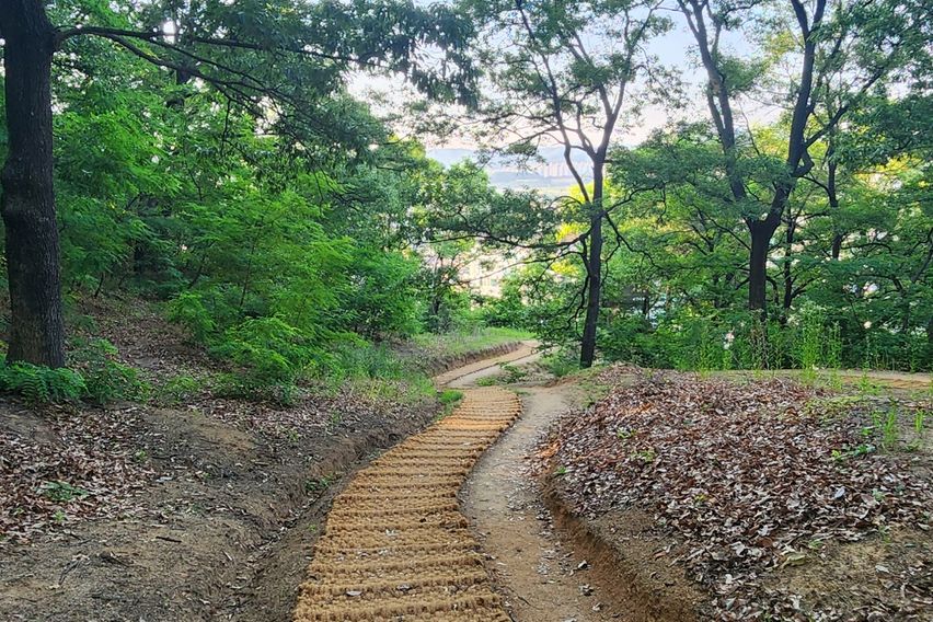 성소병원 인근 복집 9번째 이미지