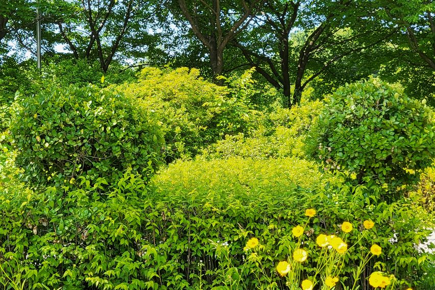 아산병원 깨끗하고편안한 14번째 이미지