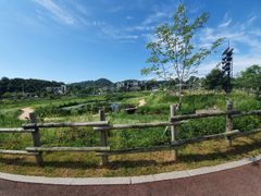 경기 일산 삼송 3룸 19번째 이미지