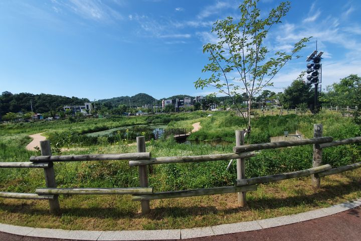 경기 일산 삼송 3룸 19번째 이미지