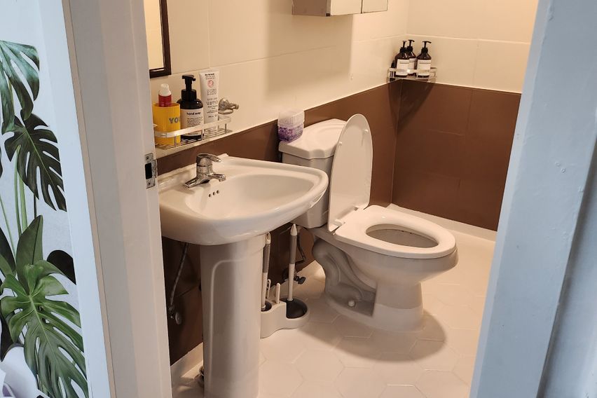 포레스트 in 임학 13번째 이미지