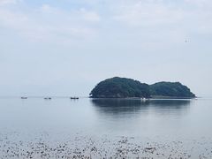 Incheon Airport/Yeongjong Station/Ocean View 15th image