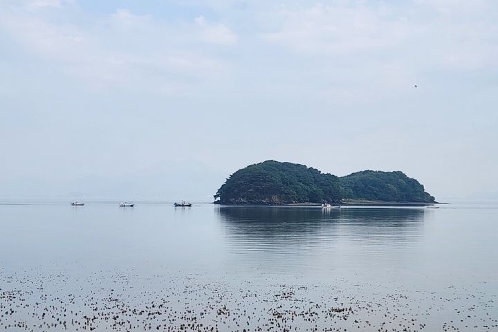 Incheon Airport/Yeongjong Station/Ocean View 15th image