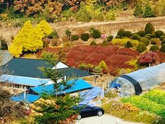 논산한옥독채양지하우스 0번째 이미지