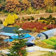 논산한옥독채양지하우스 방 이미지