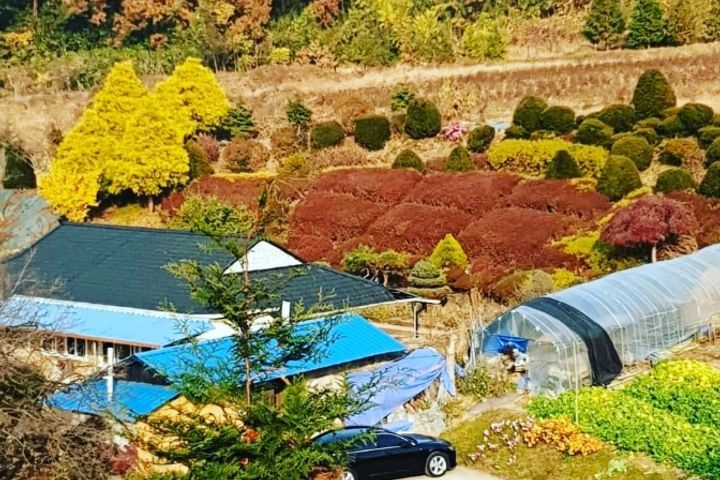 논산한옥독채양지하우스 0번째 이미지