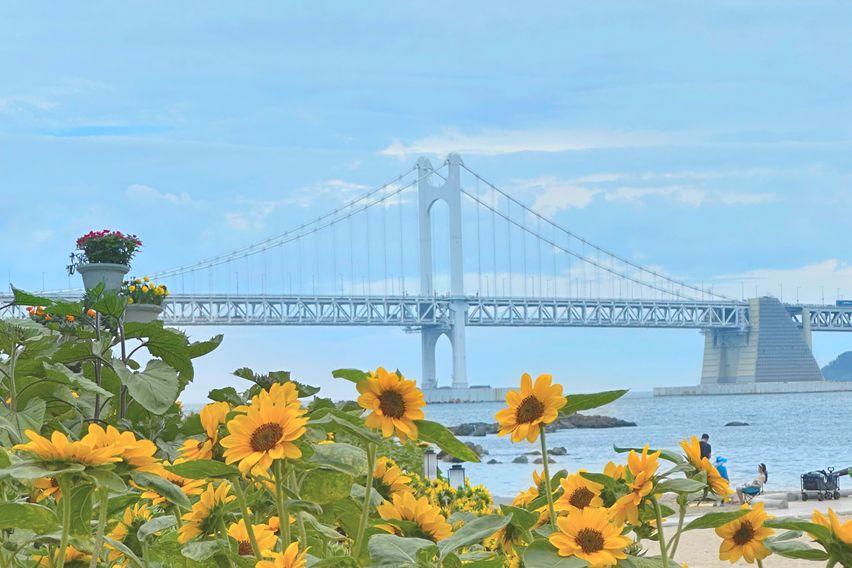 광안리오션뷰 단독테라스 3번째 이미지