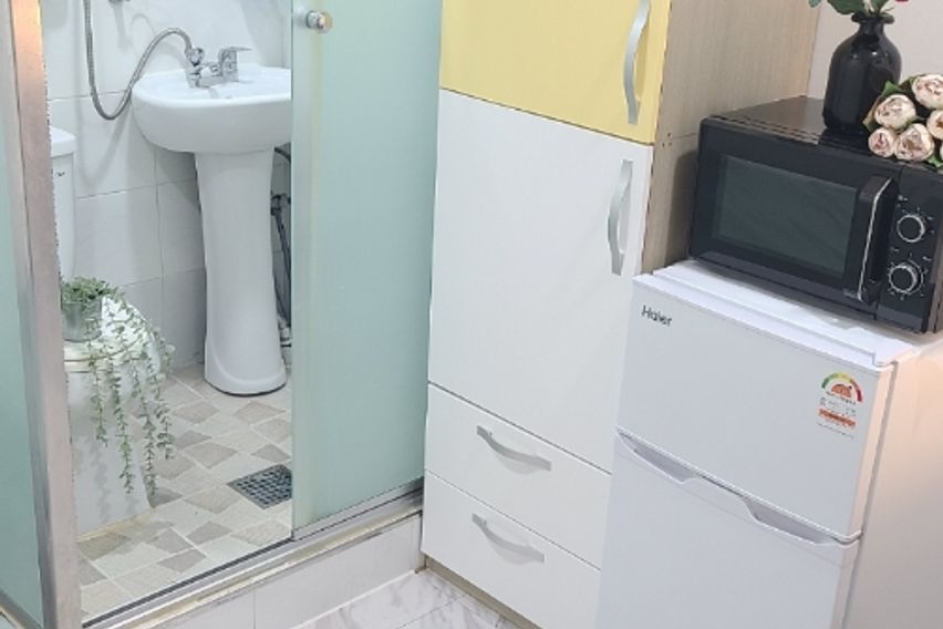 227스테이-스탠다드