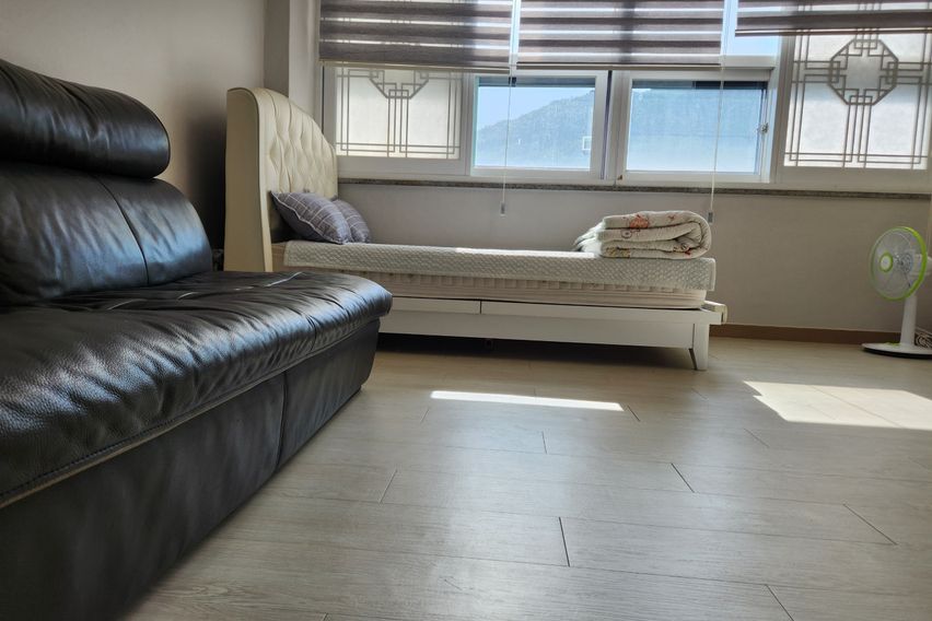 애견가능노은역수퍼풀옵션