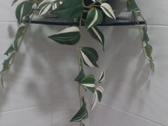 삼성병원 대청역, 3룸 8번째 이미지
