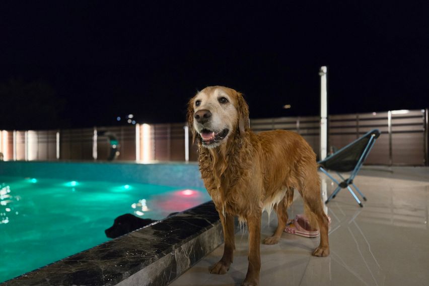 수영장 독채2층집