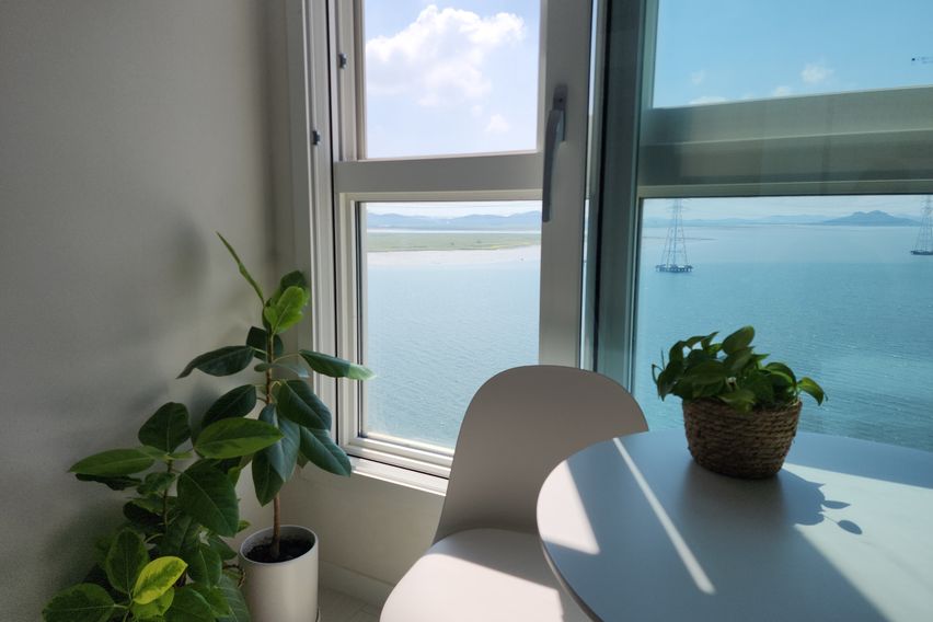 인기많은바다넷플릭스