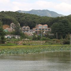 안개꽃 방 이미지