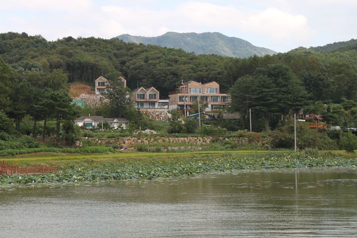안개꽃 0번째 이미지