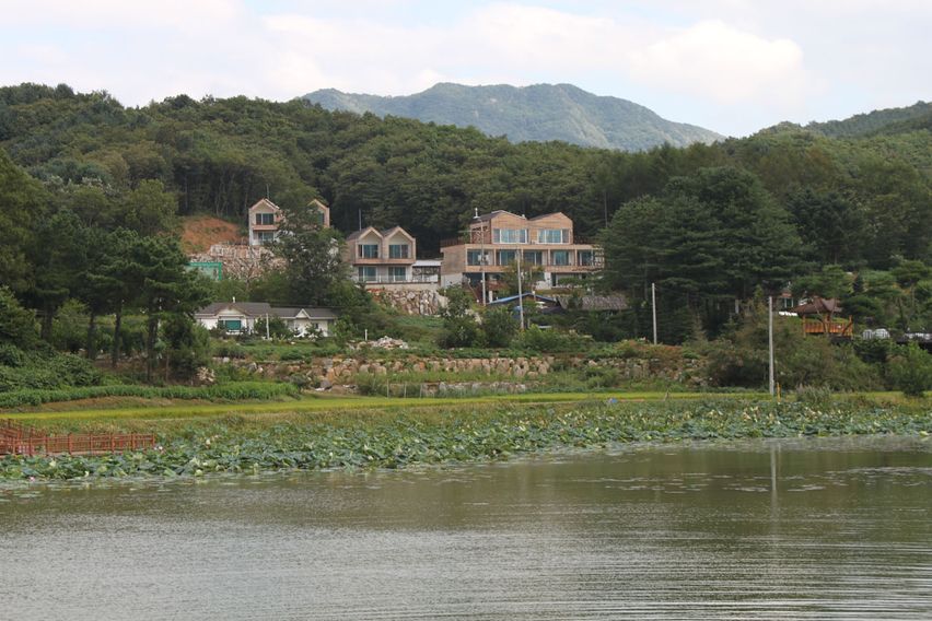 안개꽃 0번째 이미지