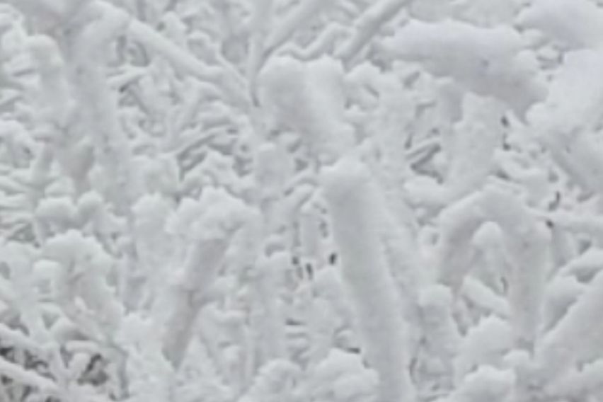 산속도시 도심아파트^