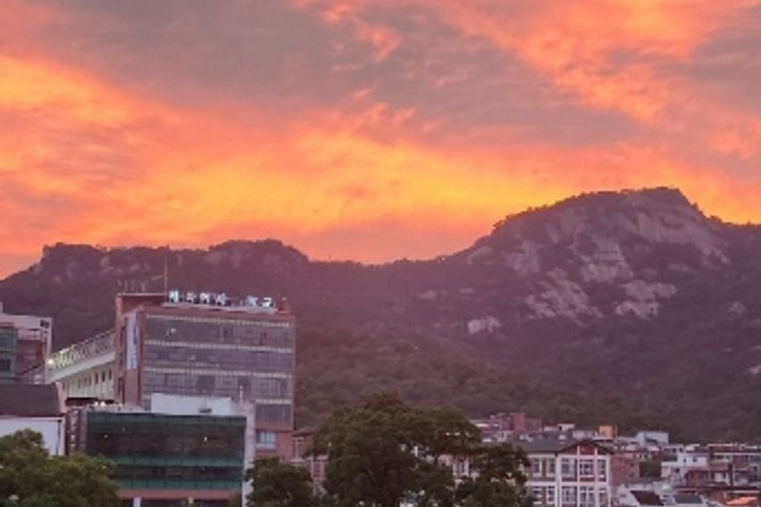 부산갈매기 501 특가