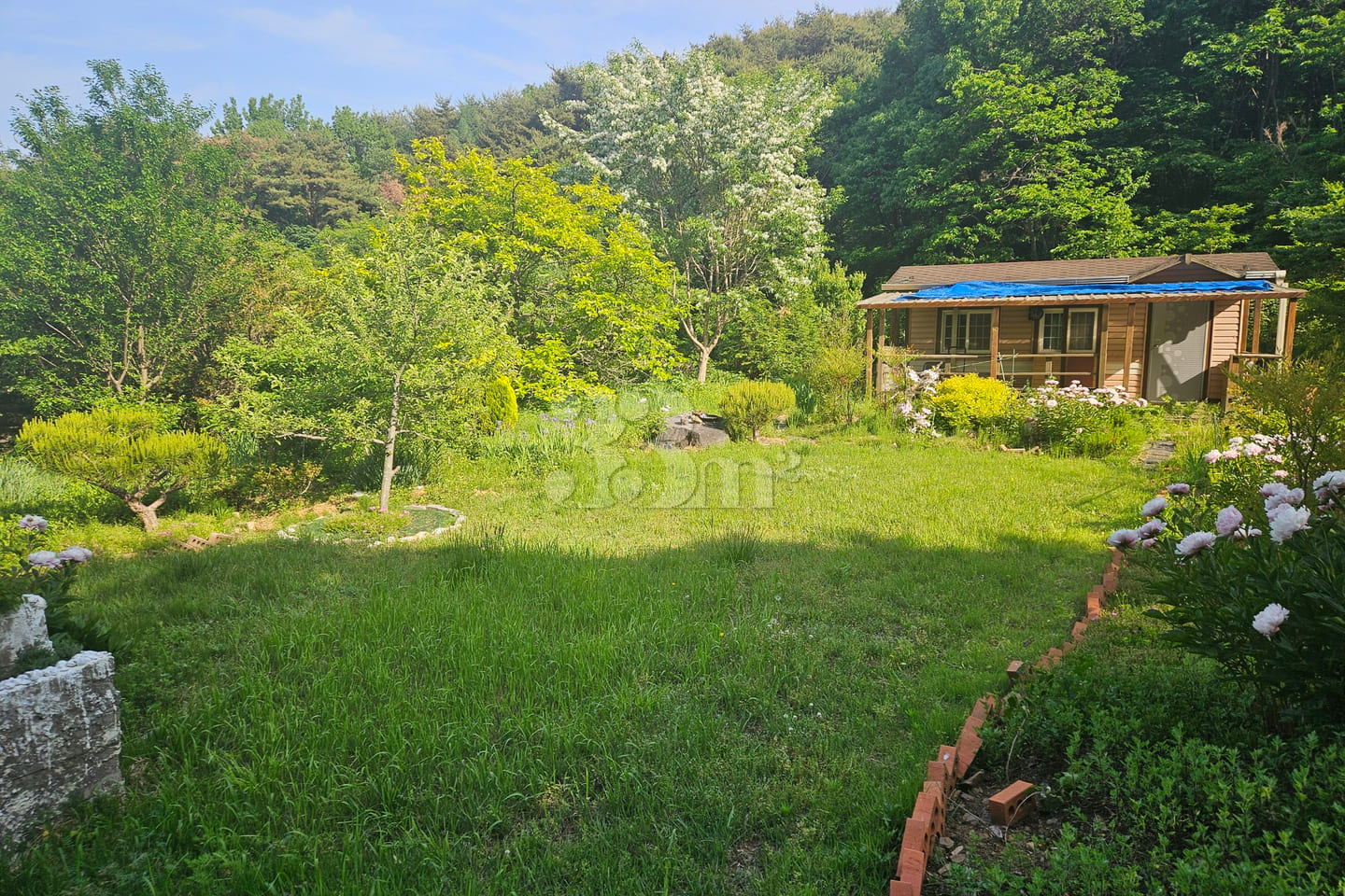 (Cheongyang, Boryeong) Forest Countryside Vac 16th image