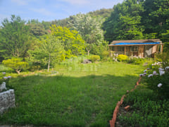 (Cheongyang, Boryeong) Forest Countryside Vac 16th image