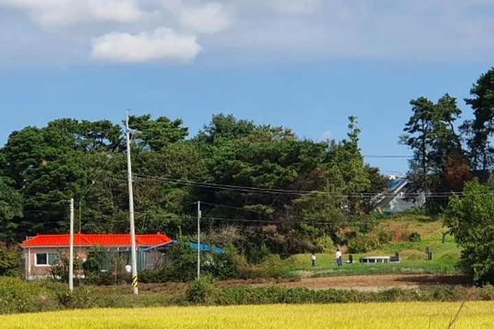 해드림하우스 7번째 이미지