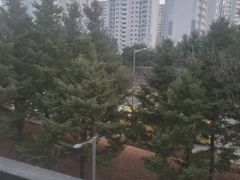 충대 행복 보금자리^^ 17번째 이미지
