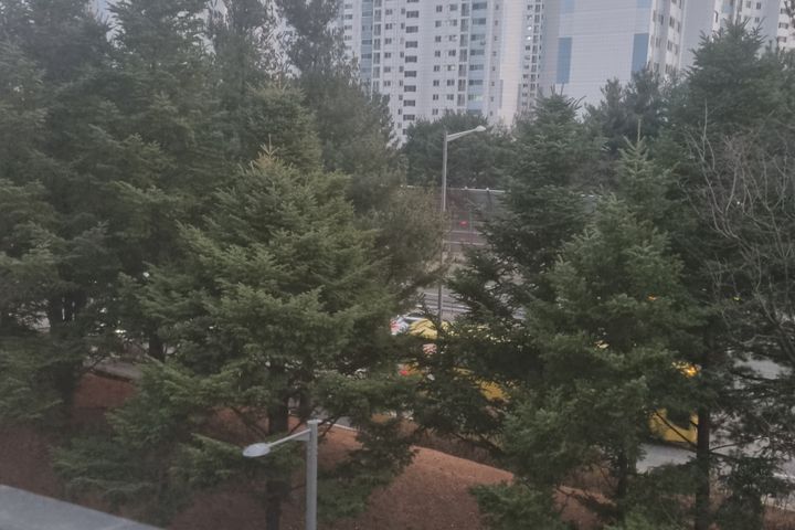 충대 행복 보금자리^^ 17번째 이미지